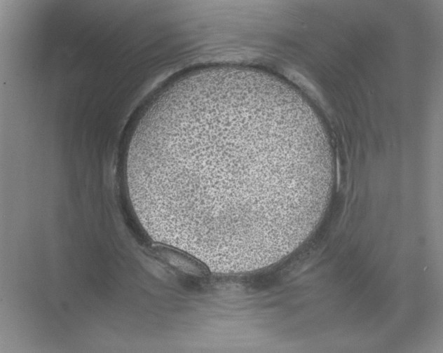 X0000074230483200609222037