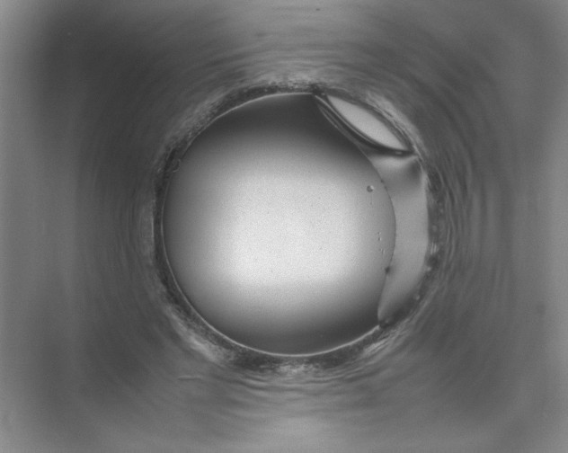 X0000074230493200609222037