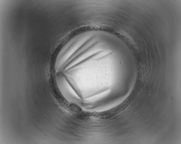 X0000074230496200609222037