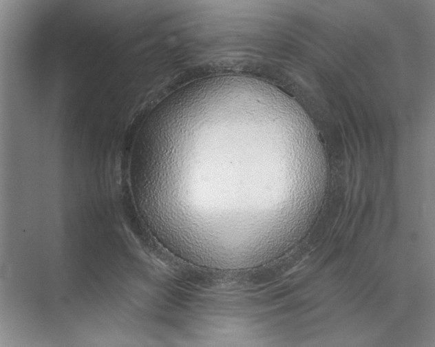 X0000074230504200609222037