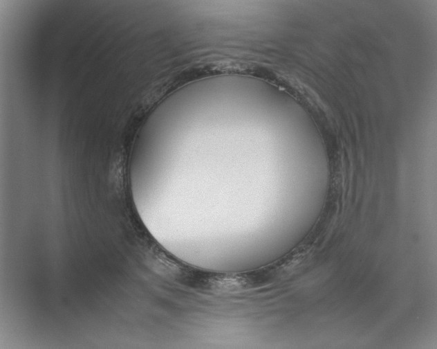 X0000074230513200609222037