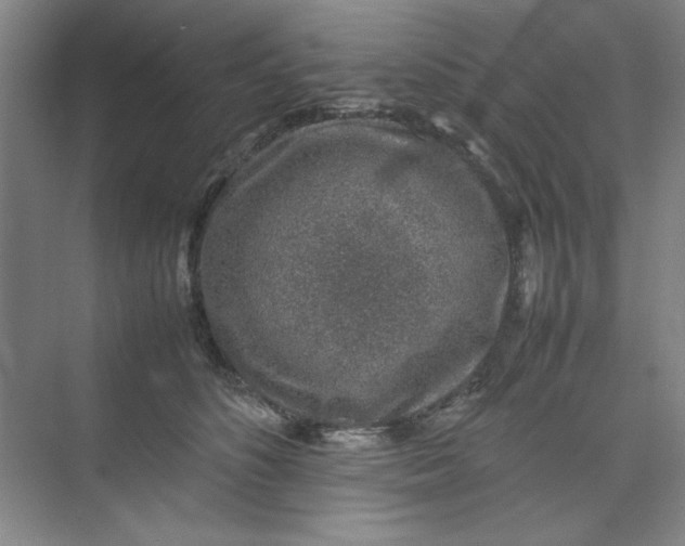 X0000074230516200609222036