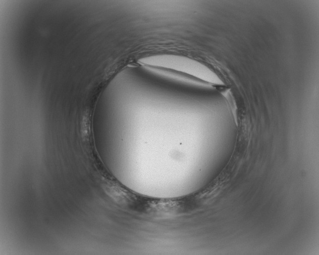X0000074230517200609222036