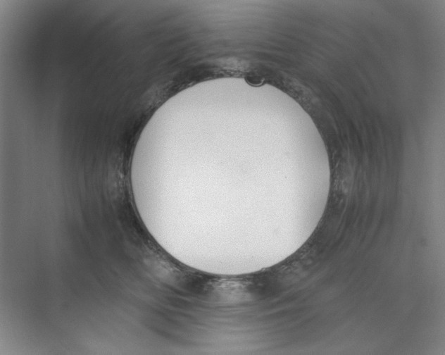 X0000074230518200609222036