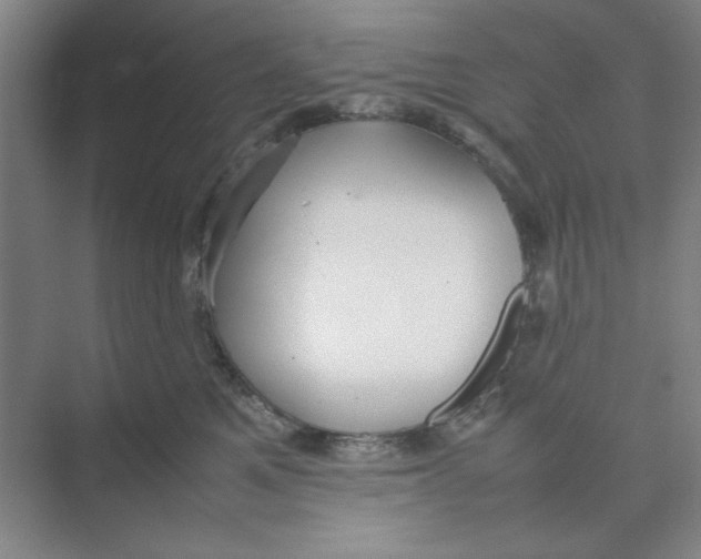 X0000074230521200609222036