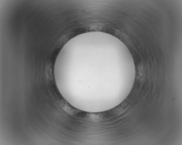 X0000074230522200609222036