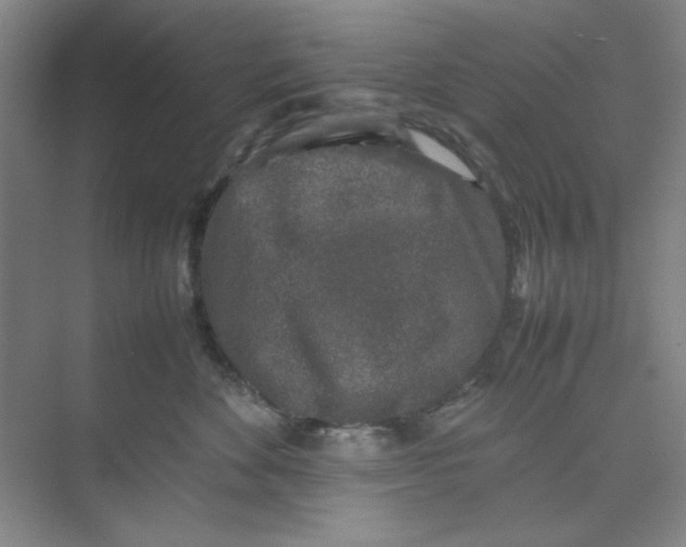 X0000074230524200609222036