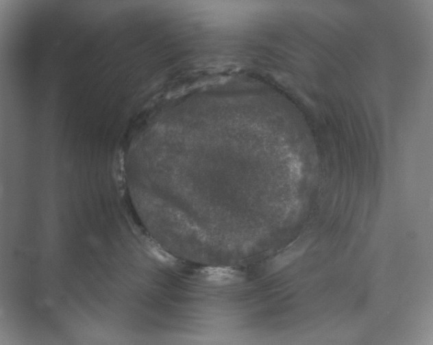 X0000074230528200609222036
