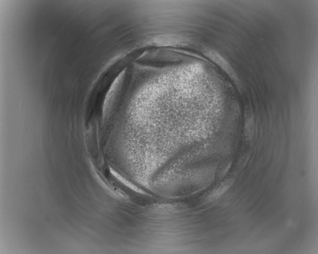 X0000074230530200609222035