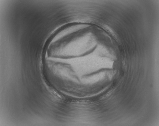 X0000074230532200609222036
