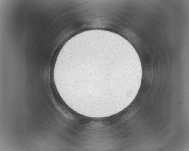 X0000074230534200609222036