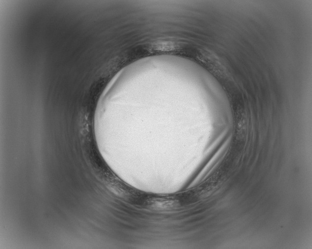 X0000074230555200609222036