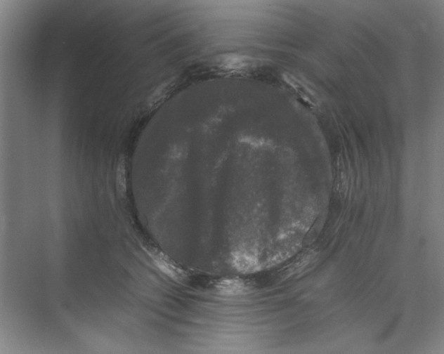X0000074230562200609222036