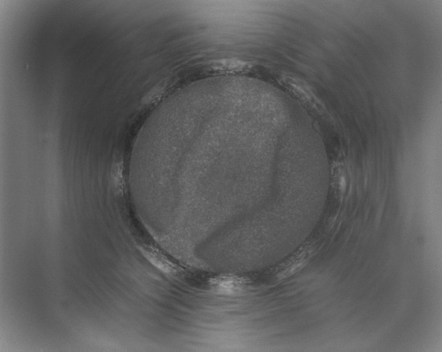 X0000074230564200609222036