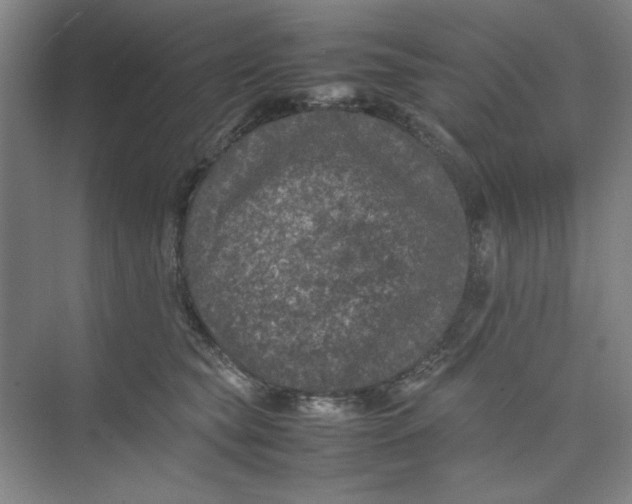 X0000074230565200609222036