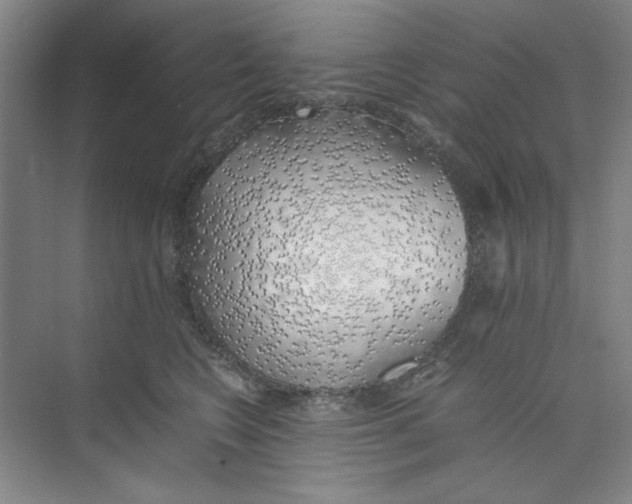 X0000074230566200609222036