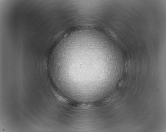 X0000074230570200609222036