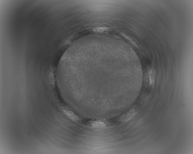 X0000074230572200609222036