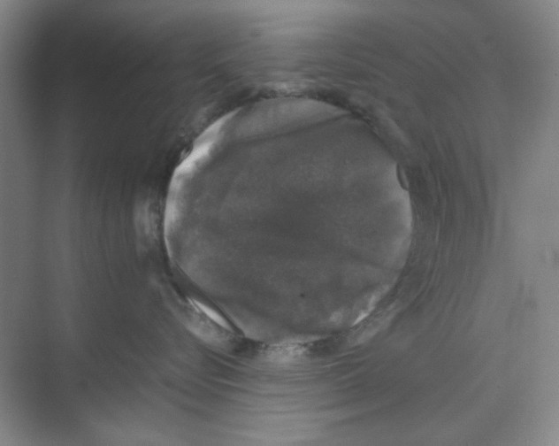 X0000074230576200609222036