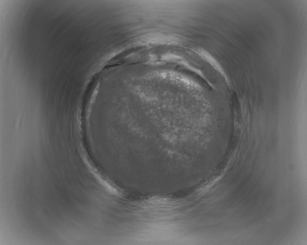 X0000074230581200609222035
