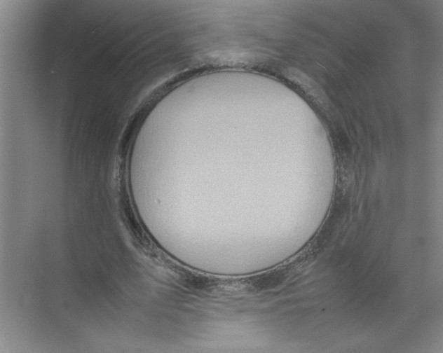 X0000074230583200609222035