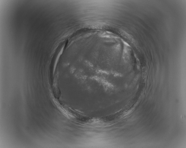 X0000074230589200609222035