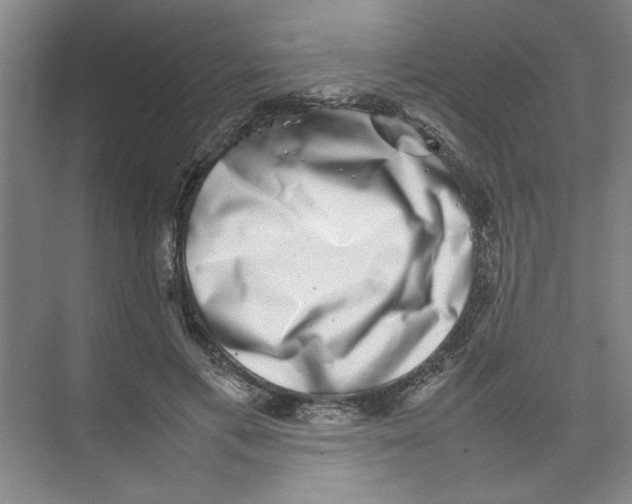 X0000074230597200609222035