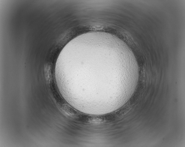 X0000074230598200609222035