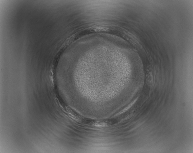 X0000074230604200609222035
