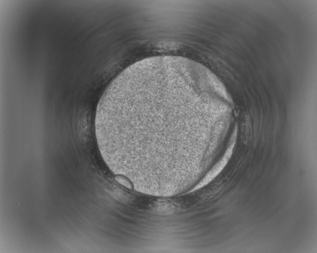 X0000074230608200609222035