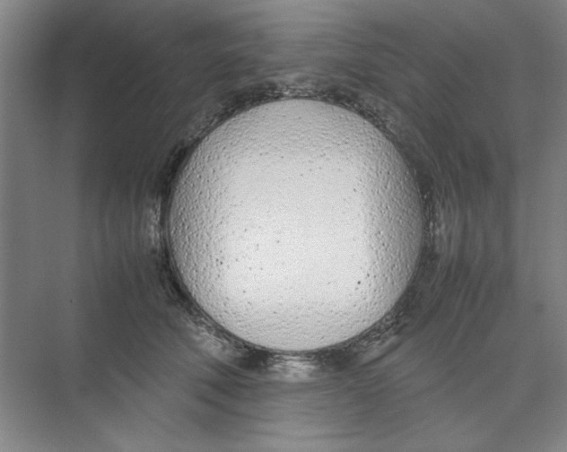 X0000074230610200609222035