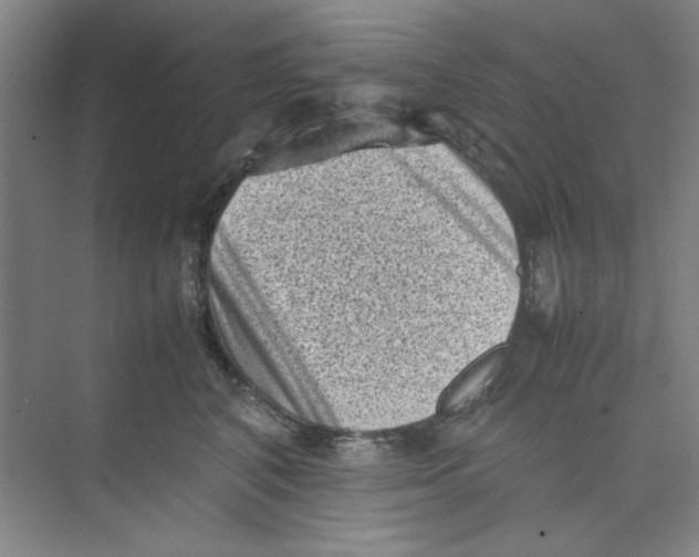 X0000074230616200609222035