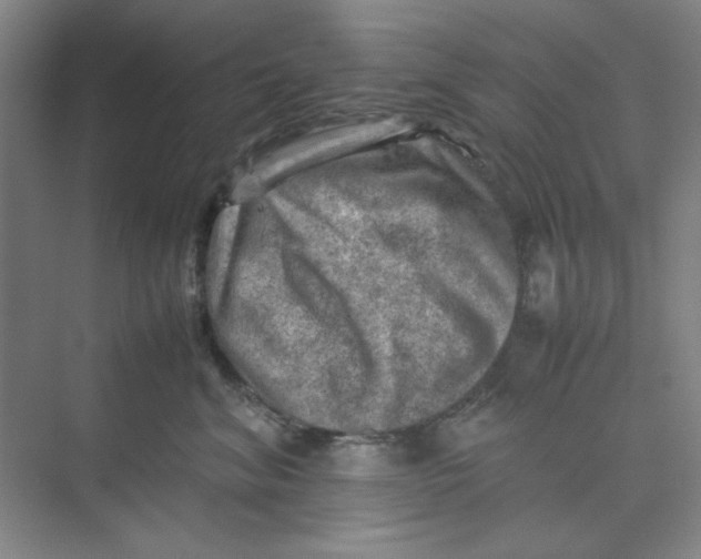X0000074230620200609222035