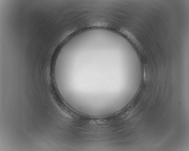 X0000074230627200609222034