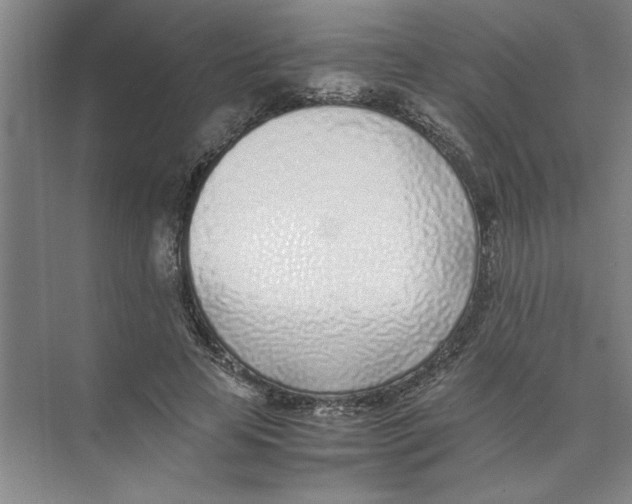 X0000074230641200609222034