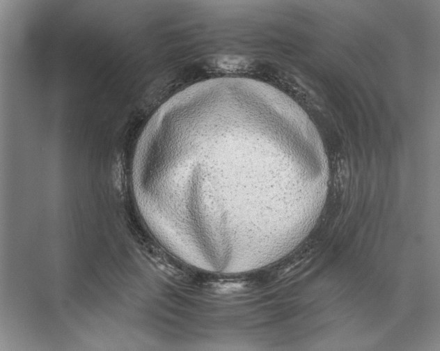 X0000074230651200609222034