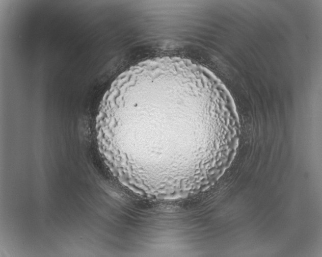 X0000074230654200609222034