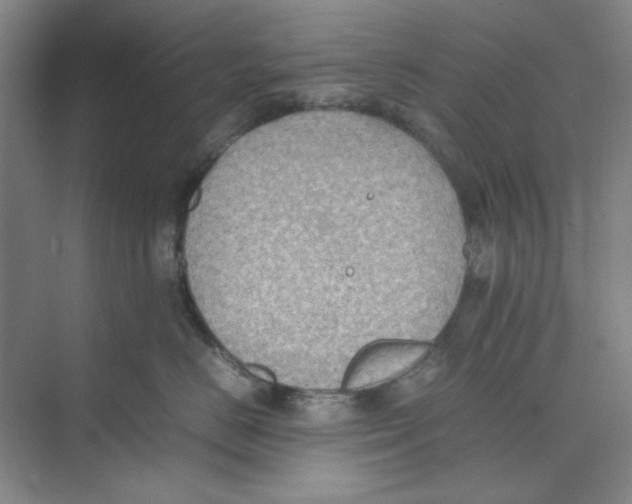 X0000074230670200609222035