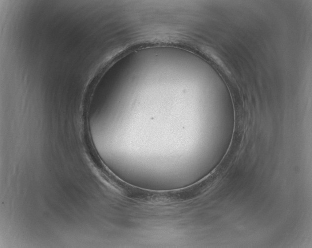 X0000074230677200609222034