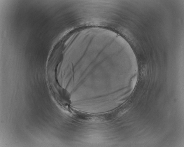 X0000074230678200609222034
