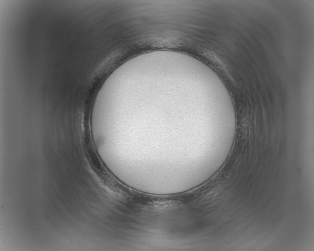 X0000074230686200609222034