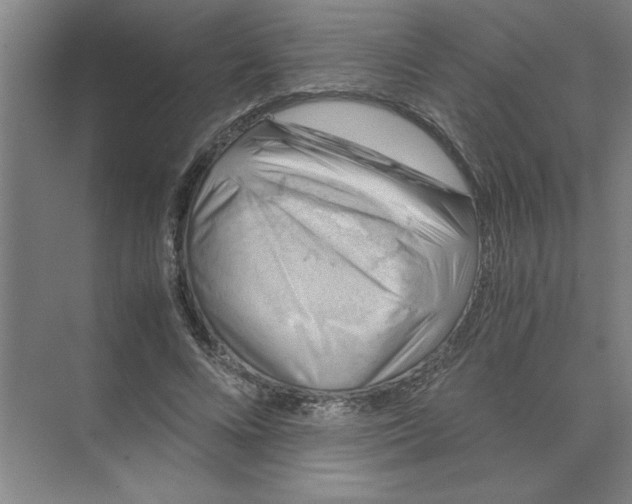 X0000074230688200609222034