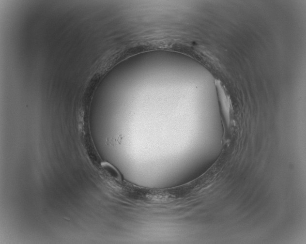 X0000074230693200609222034