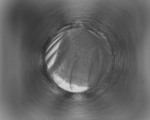 X0000074230704200609222033