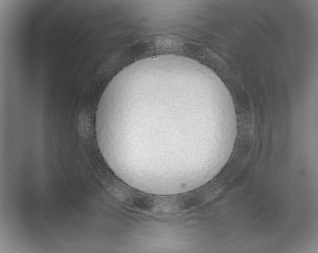 X0000074230705200609222033
