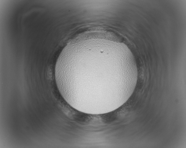 X0000074230715200609222033