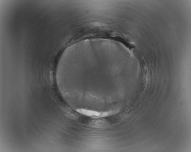 X0000074230716200609222033