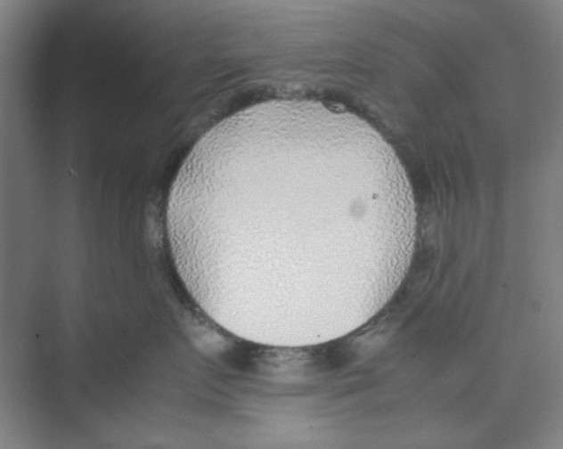 X0000074230719200609222033