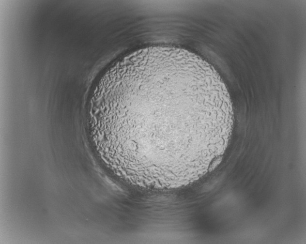 X0000074230721200609222032