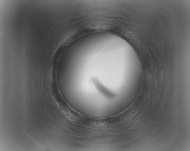 X0000074230735200609222032